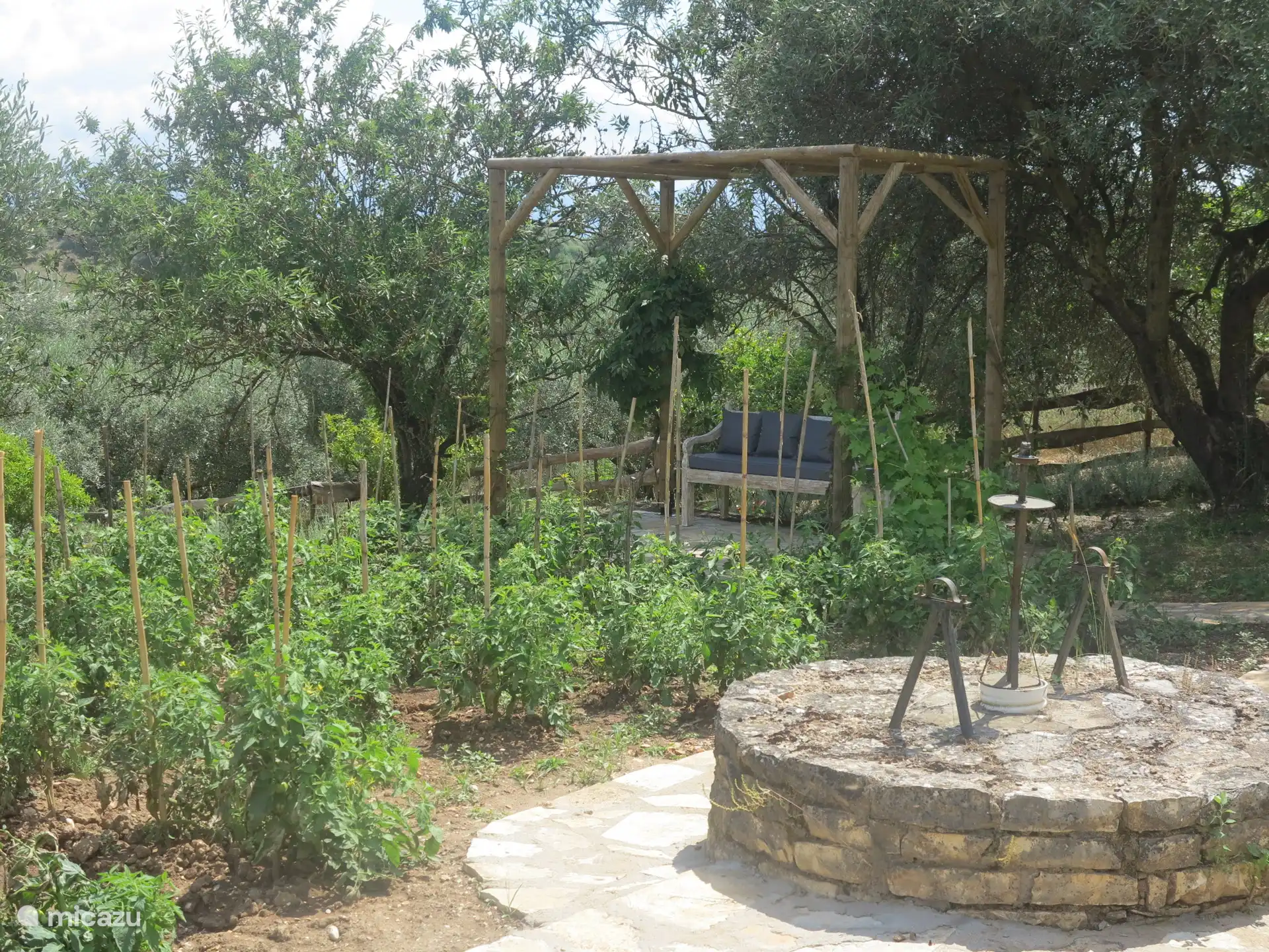 Outdoor pergola in the vegetable garden