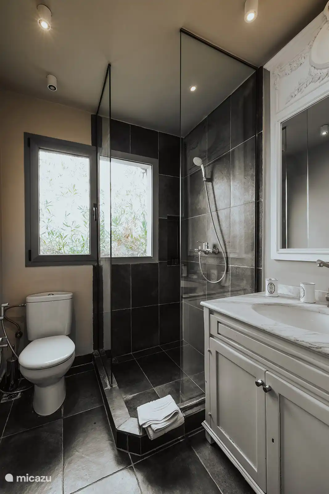 Bathroom with toilet and rain shower