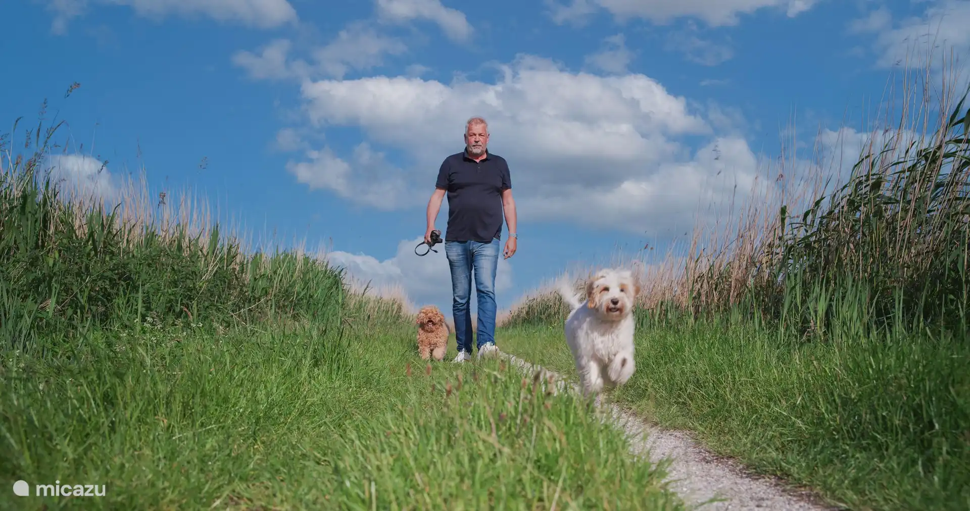 Des endroits merveilleux pour se promener avec le chien. Du plaisir pour tout le monde.