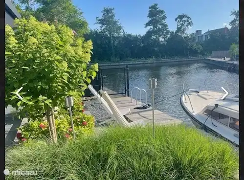 Hund mit geschlossener Parzelle kann nicht weglaufen