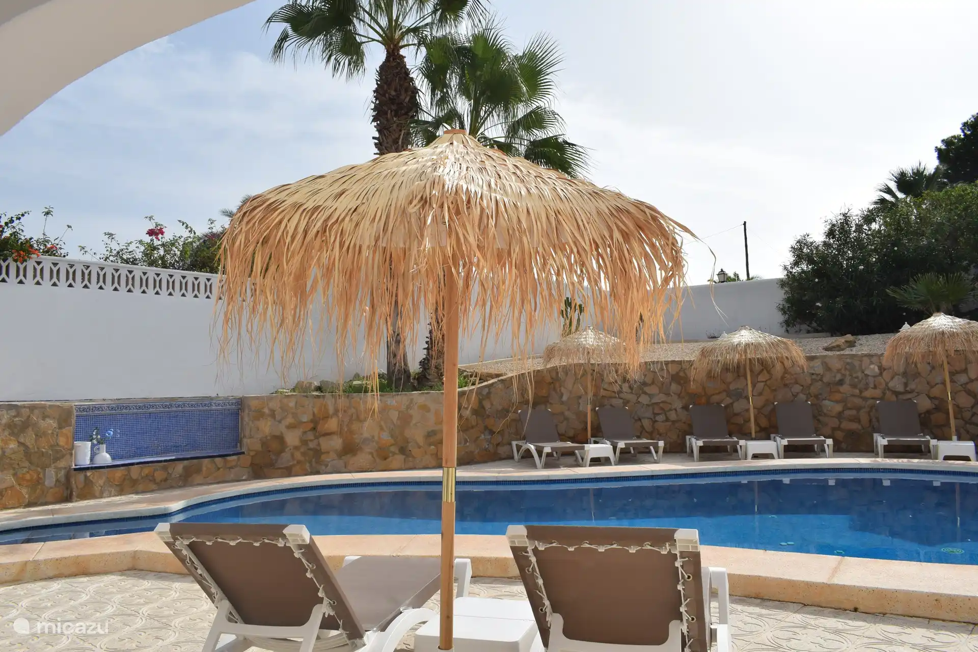 Piscine avec transats