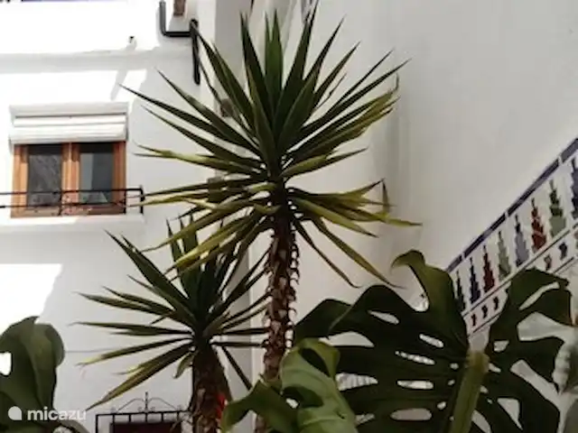 Casa 24 | Espagne, Andalousie, Cómpeta - maison de ville Façade en L au bout d'une impasse sans voiture