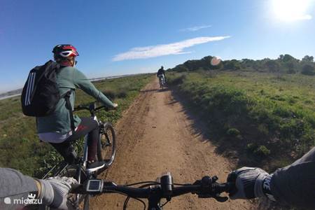 Torrevieja: e-biketour door natuurparken