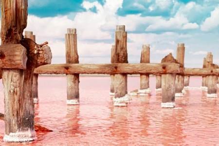 Visit the salt lakes of Torrevieja