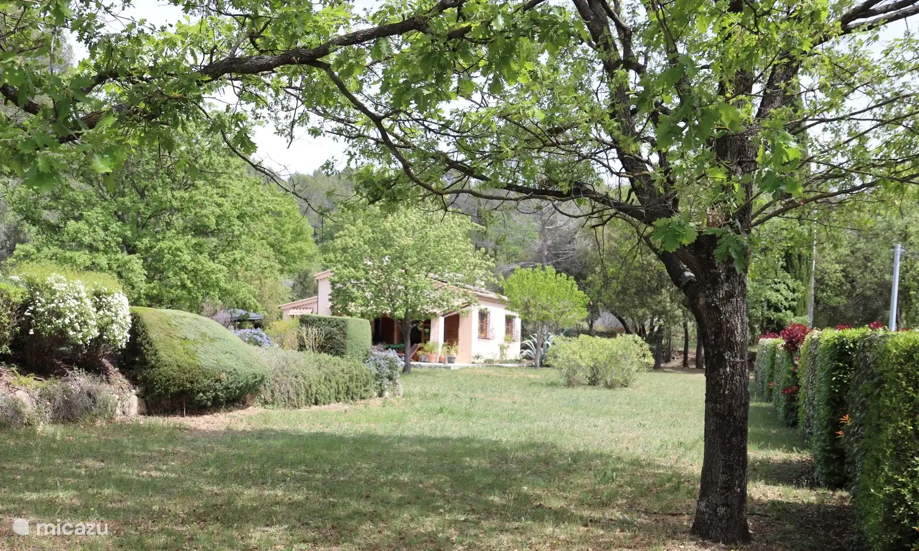 vanaf voorkant tuin kijklijn naar het huis. Achter de linkerbegroeiing ligt het zwembad 