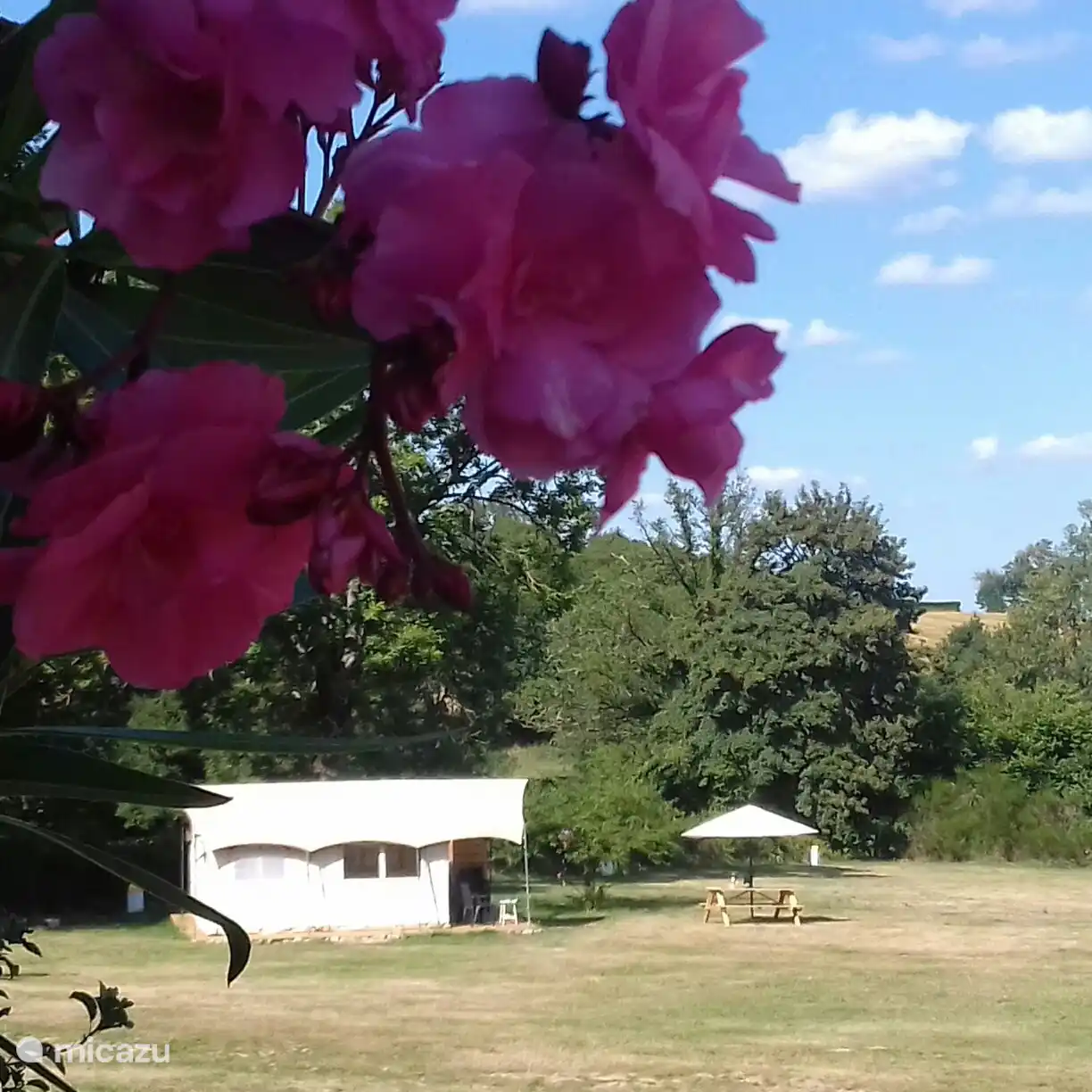 La tente Safari est située au sommet du camping et vous avez une vue dégagée sur la belle nature. 
