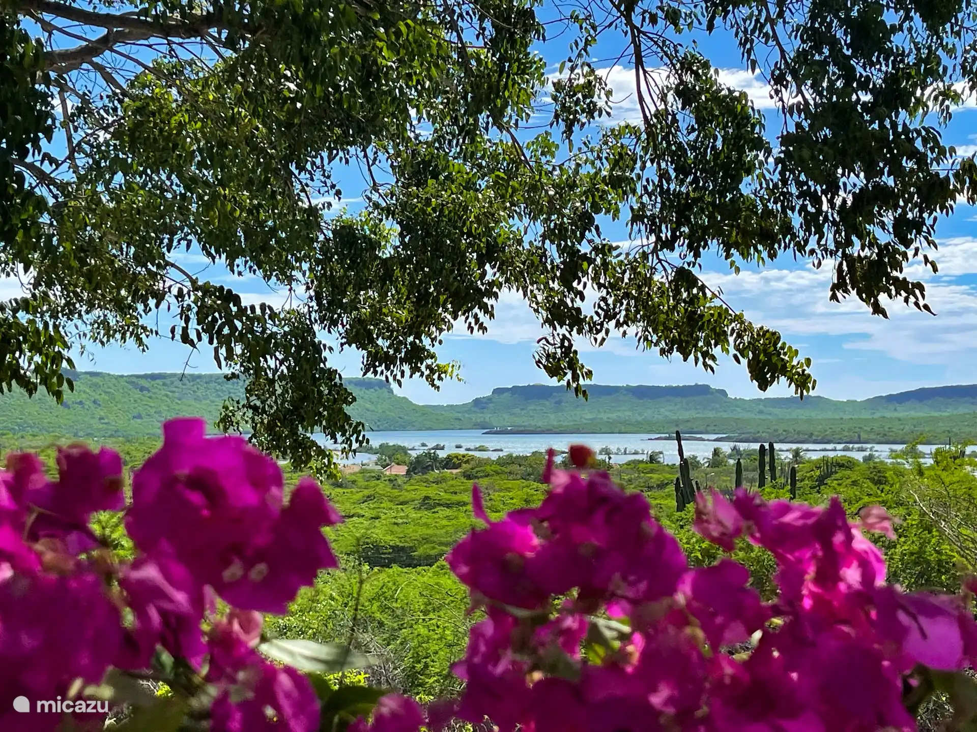 La vista desde el Garden Lodge, las salinas de Jan Kok.