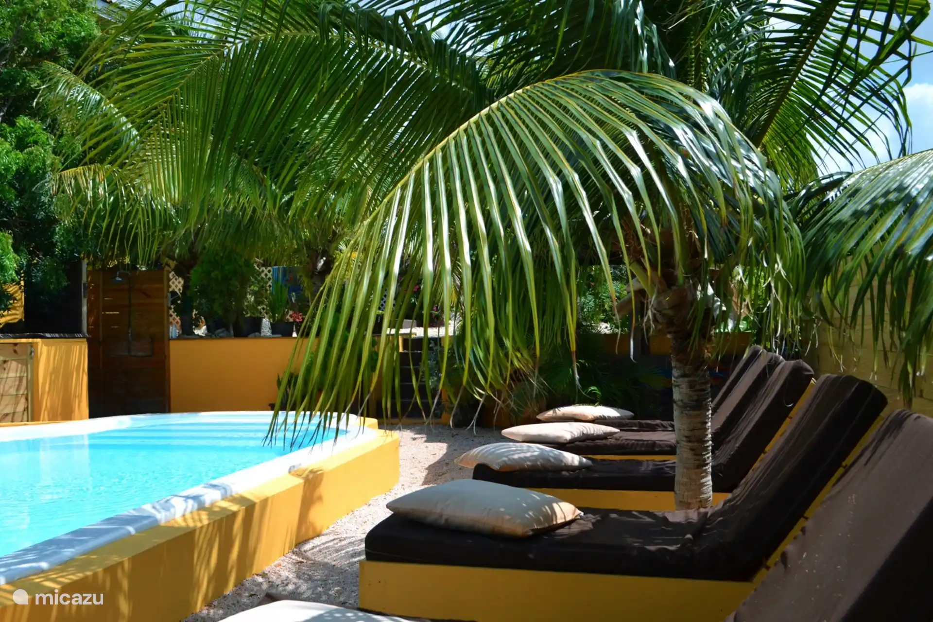 La piscina del jardín tropical, rodeada de palmeras, tumbonas y sofás, se encuentra a pocos metros del Garden Lodge.