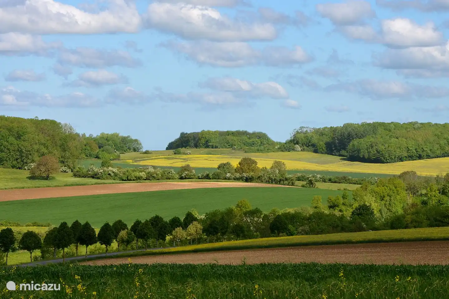 De omgeving is ruim en mooi, deze foto is in april gemaakt toen de koolzaadvelden in bloei stonden.