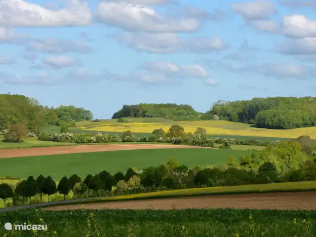 Casa de vacaciones Aubenton en Francia, Aisne, Aubenton - casa vacacional El área es espaciosa y hermosa, esta foto fue tomada en abril cuando los campos de colza estaban en flor.