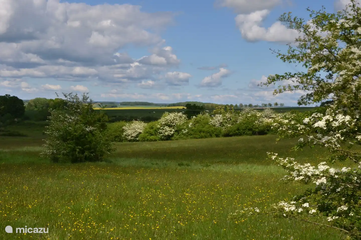 Overal waar je kijkt zijn er prachtige landschappen.