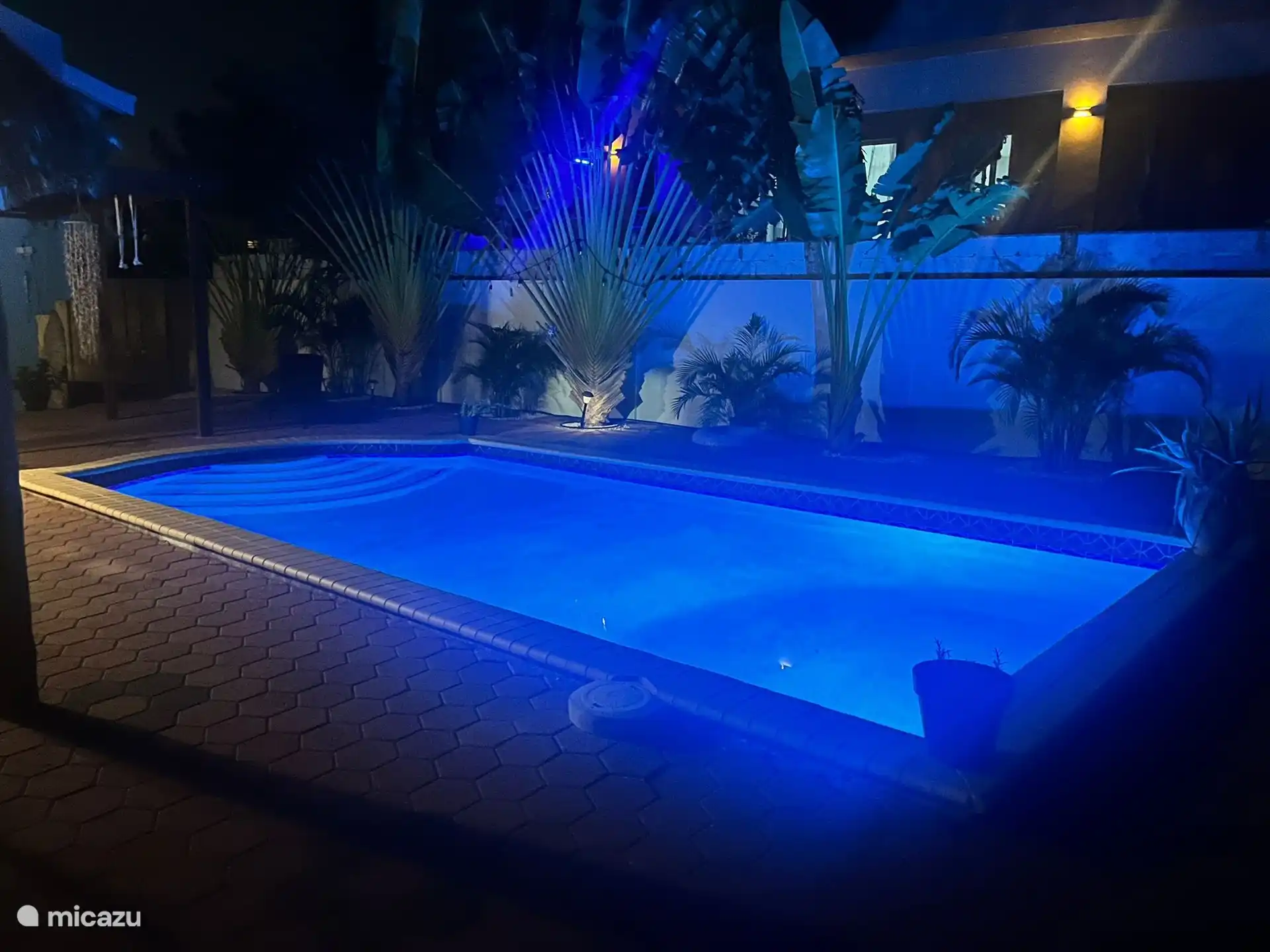Piscine la nuit
