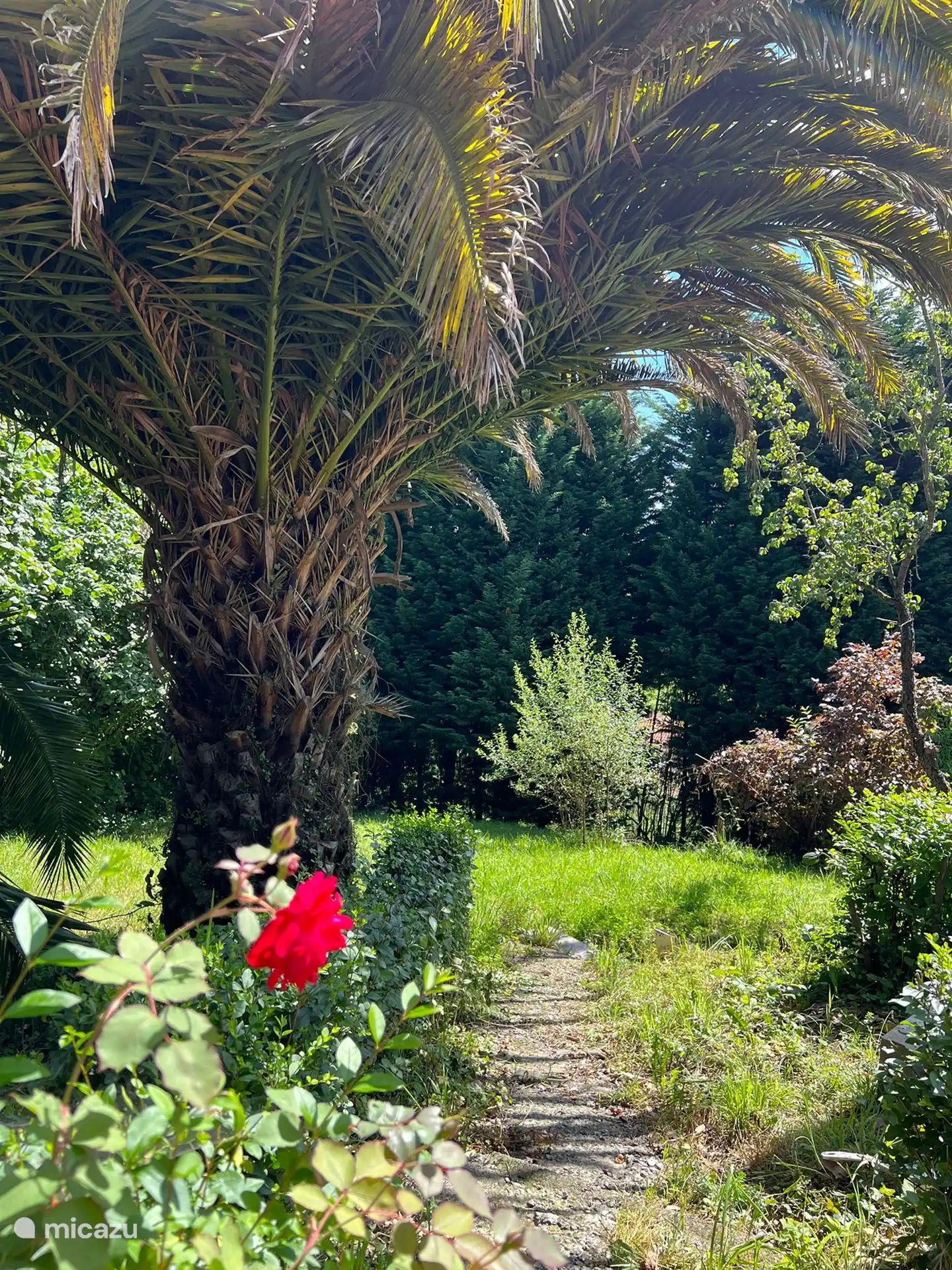 Accès du patio au jardin