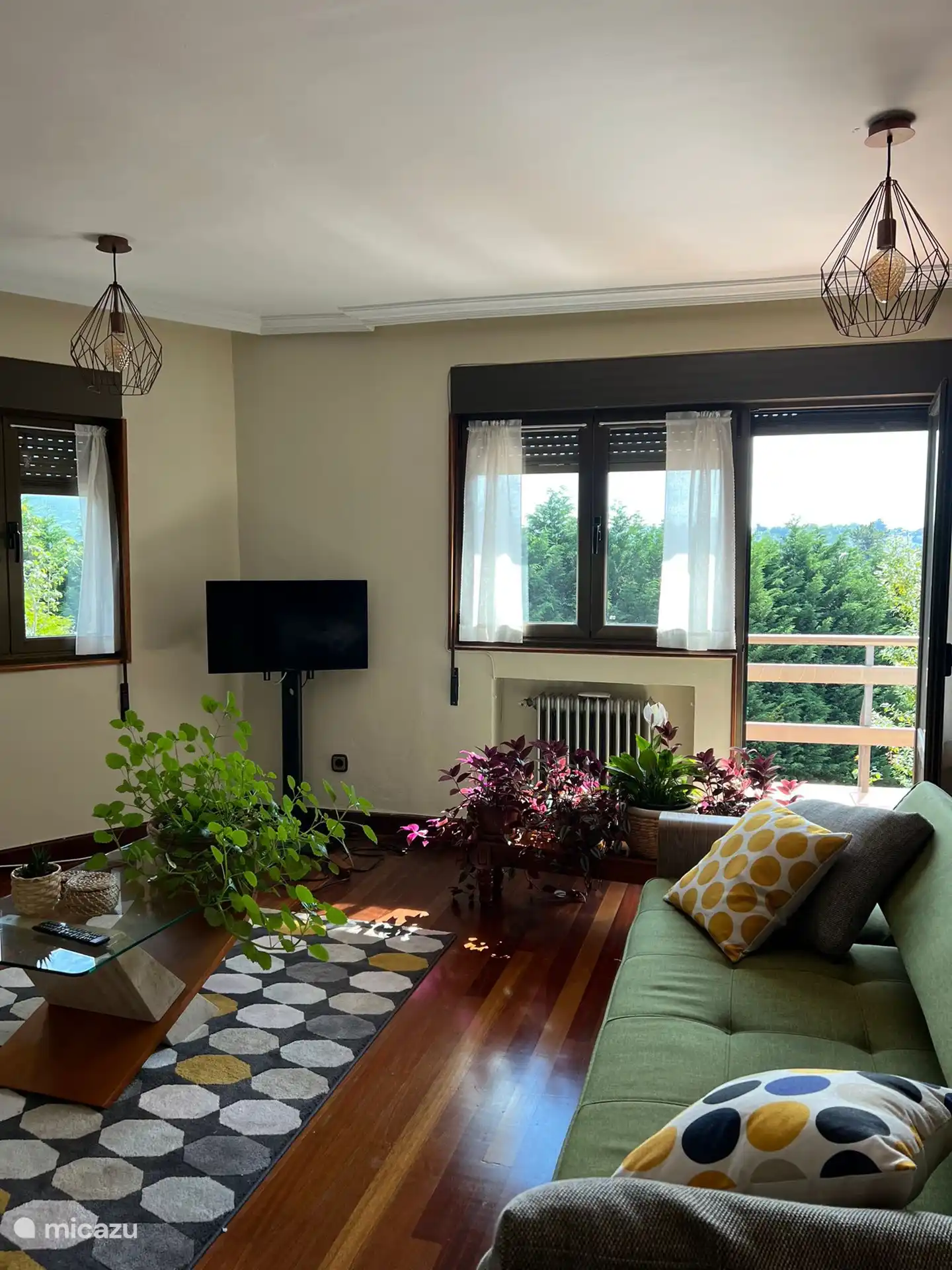 Accès à la terrasse 