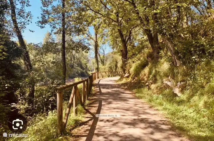 L'un des nombreux itinéraires autour de la Casona de la Carbayeda, en particulier celui-ci, est le chemin vert, un itinéraire situé à 4 km de la maison, avec un parcours d'environ 10 km qui vous mènera à la ville d'Oviedo elle-même. 