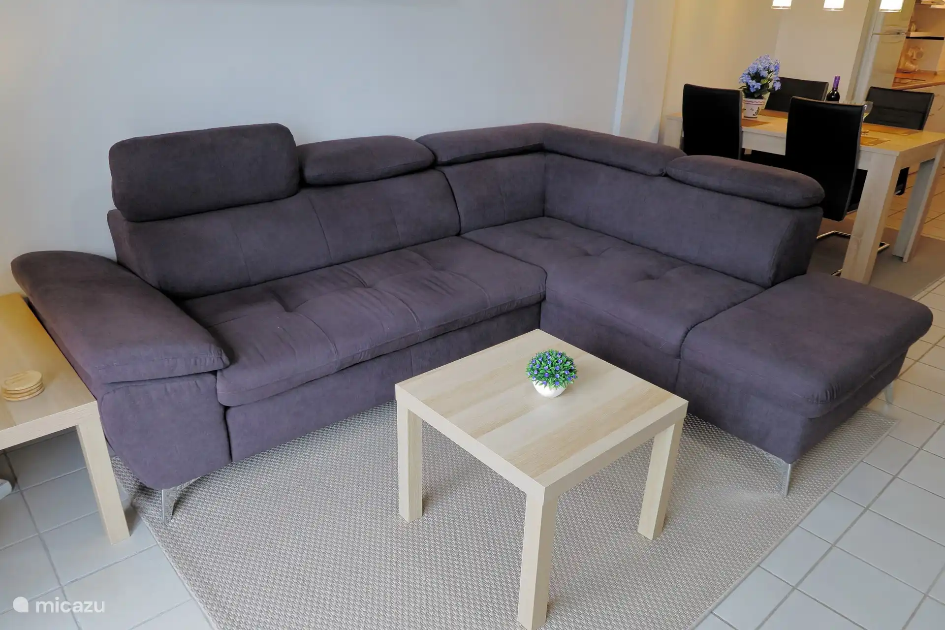 Coin salon avec vue sur la télévision avec chaînes néerlandaises