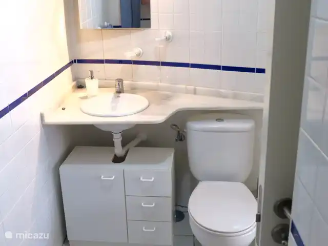 El Canario Azul Zeezicht Torrevieja huren in Spanje, Costa Blanca, Orihuela Costa - appartement Wastafel en toilet