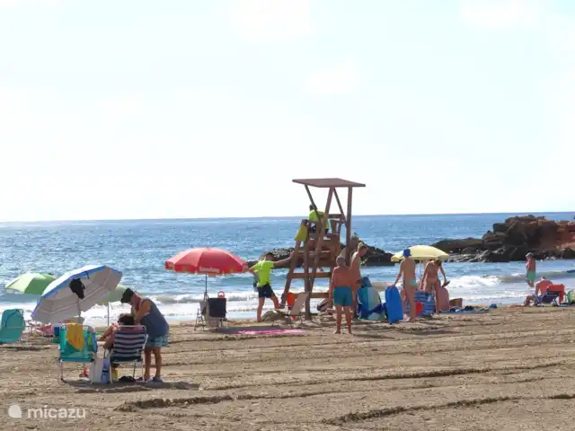 El Canario Azul Zeezicht Torrevieja huren in Spanje, Costa Blanca, Orihuela Costa - appartement Strandwacht