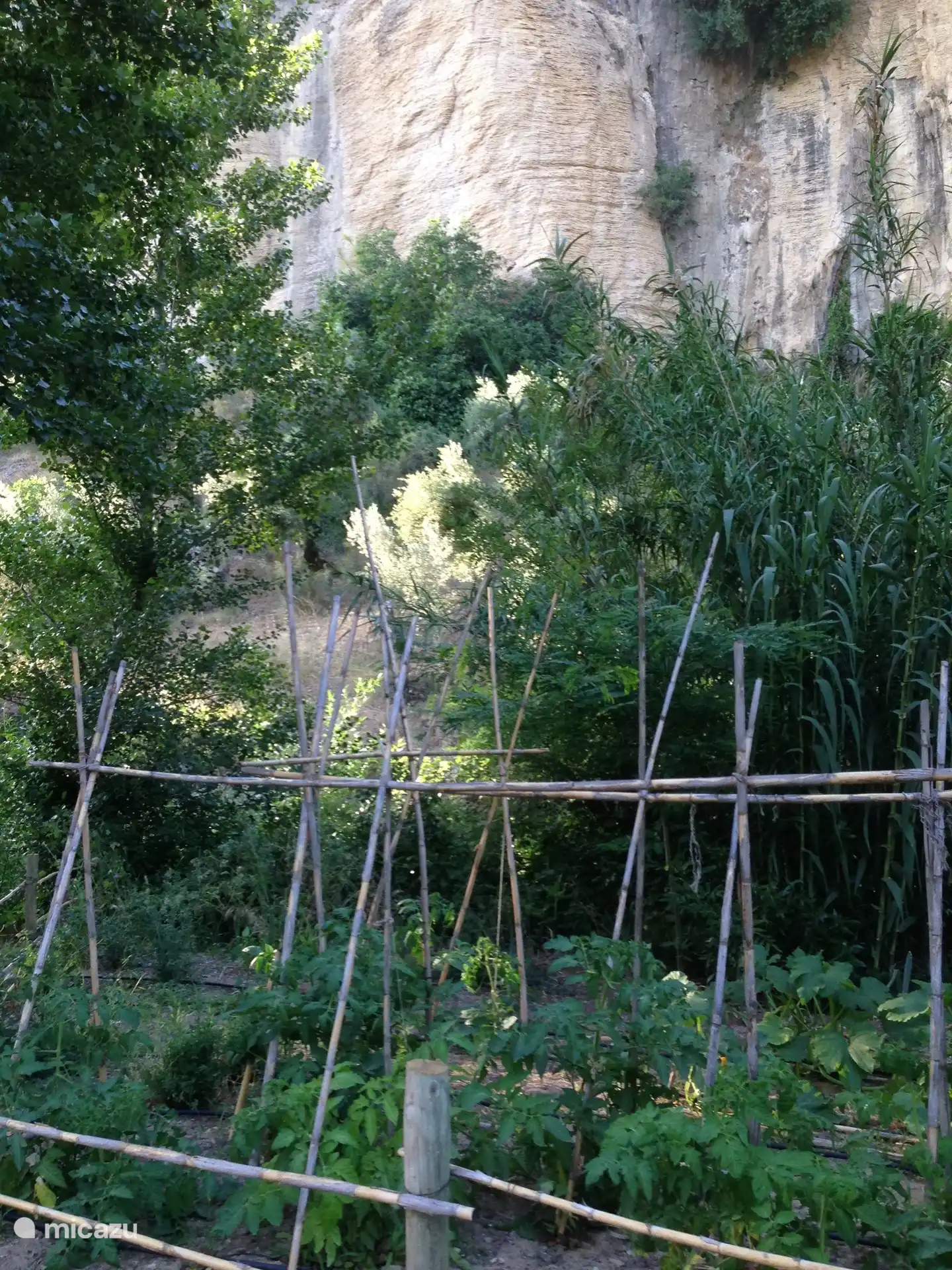 one of our vegetable gardens