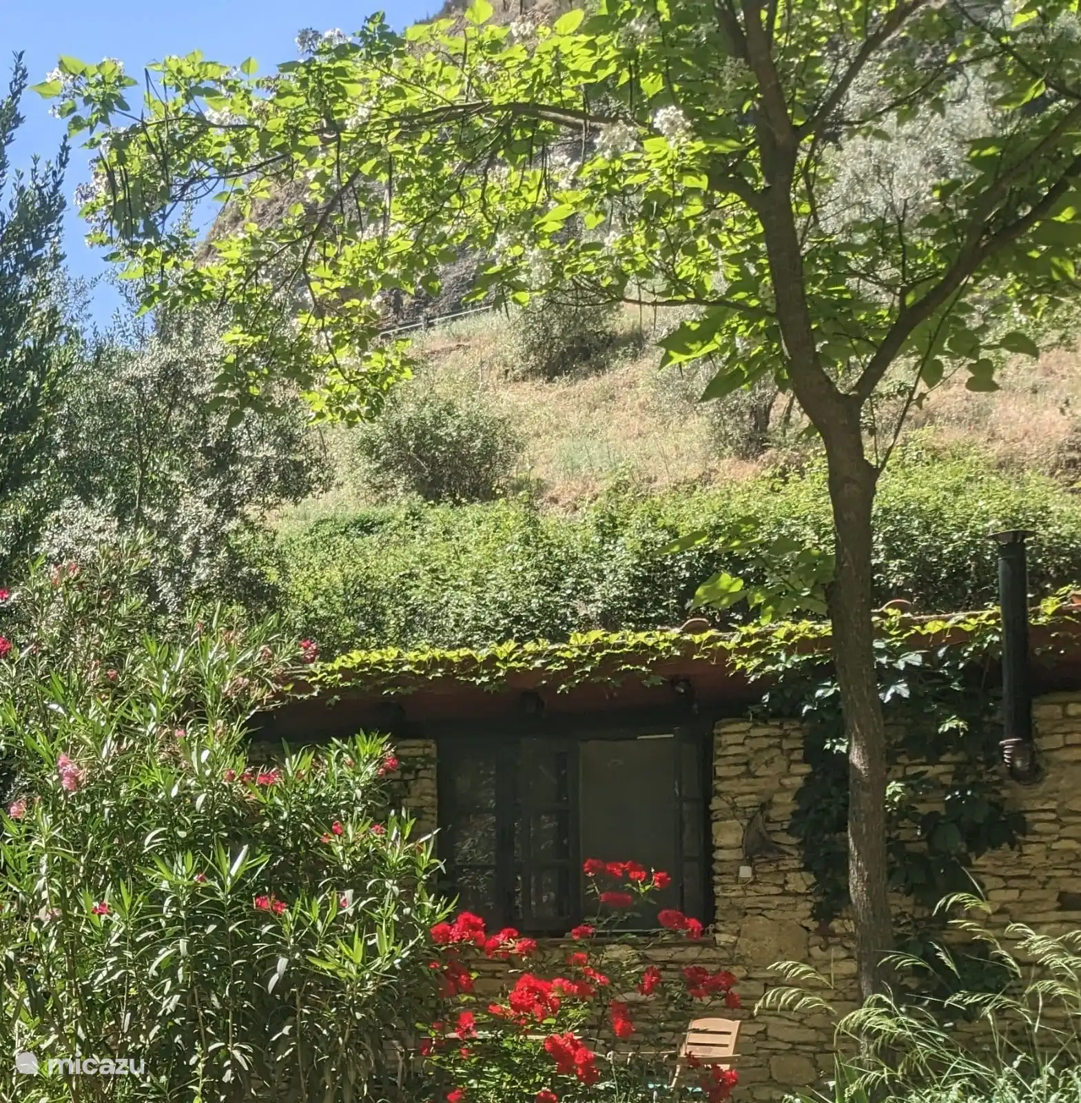 as it has always been there