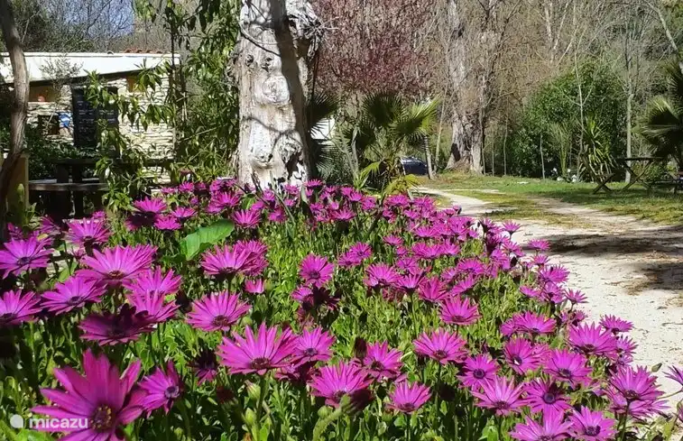 and you meet this on the way to the casita.... in February