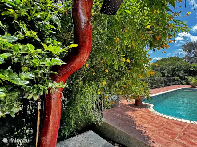 Location de Vacances Curaçao, Curaçao-Centre, Mahaai/Damacor, villa - Villa Casablanca Premier Étage Douche extérieure ! Merveilleux si vous aimez les longues douches !
