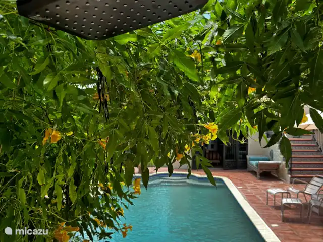 Location de Vacances Curaçao, Curaçao-Centre, Mahaai/Damacor, villa - Villa Casablanca Premier Étage Douche extérieure