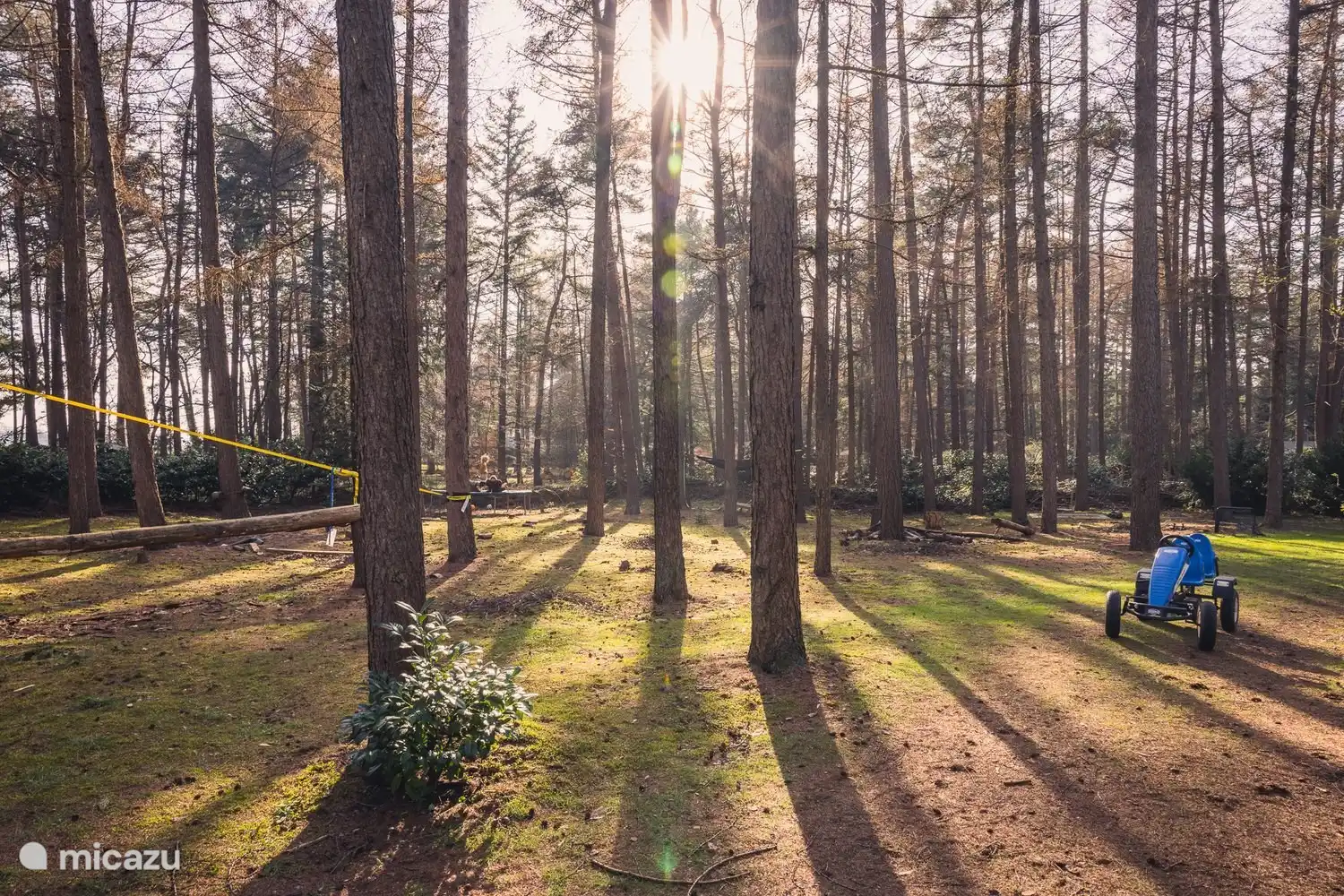 Ein gigantischer Garten mit Trampolin, Go-Kart, Baumhaus, Super-Hängematte, Sandkasten und Schwebebalken für endlosen Spaß