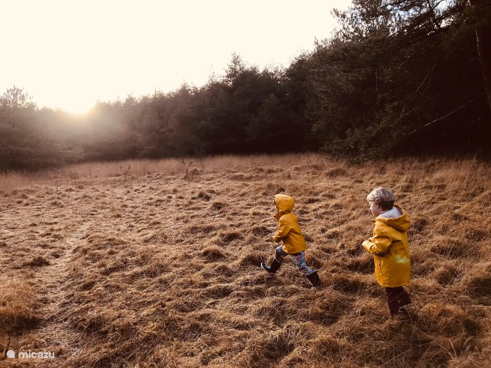 Atmen Sie frische Luft in den Feldern und Wäldern des Giethmenseveld selbst