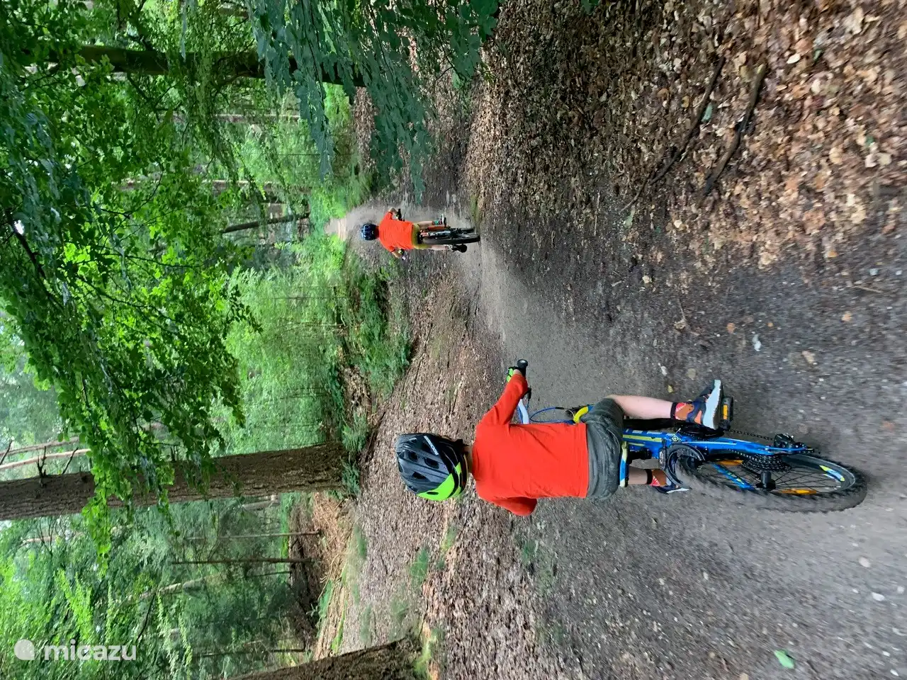 Der angrenzende Lemelerberg verfügt über eine schöne Mountainbike-Strecke, die auch für Kinder geeignet ist