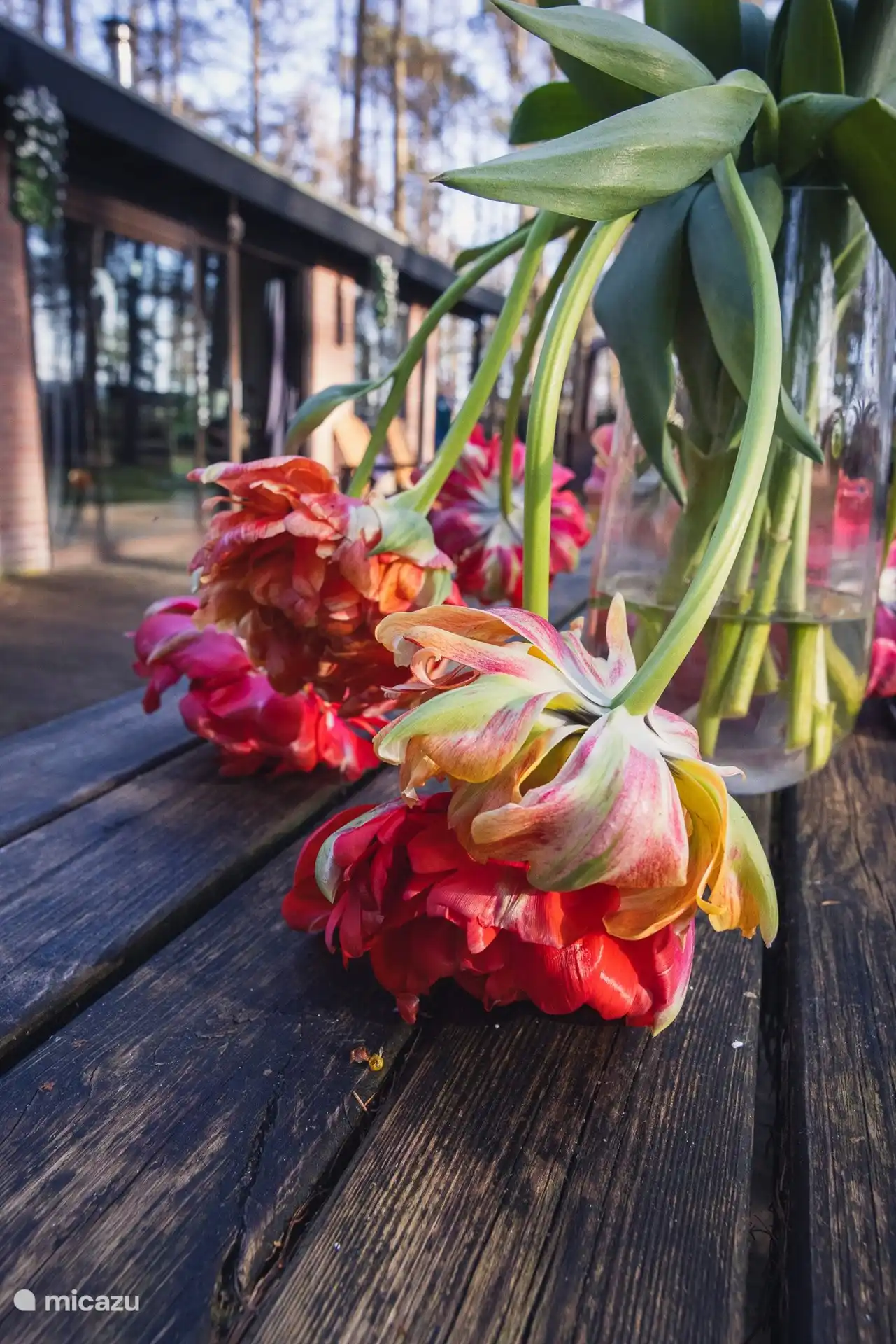 Sogar die Blumen sind entspannt