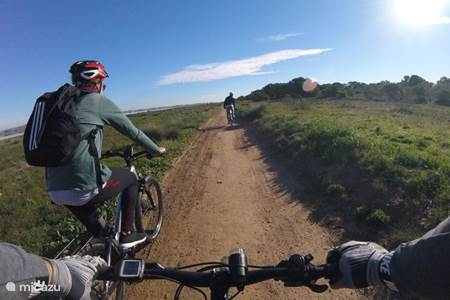 Torrevieja : visite en vélo électrique à travers les parcs naturels