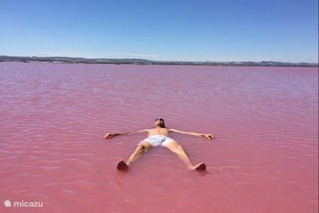 Visit the salt lakes of Torrevieja