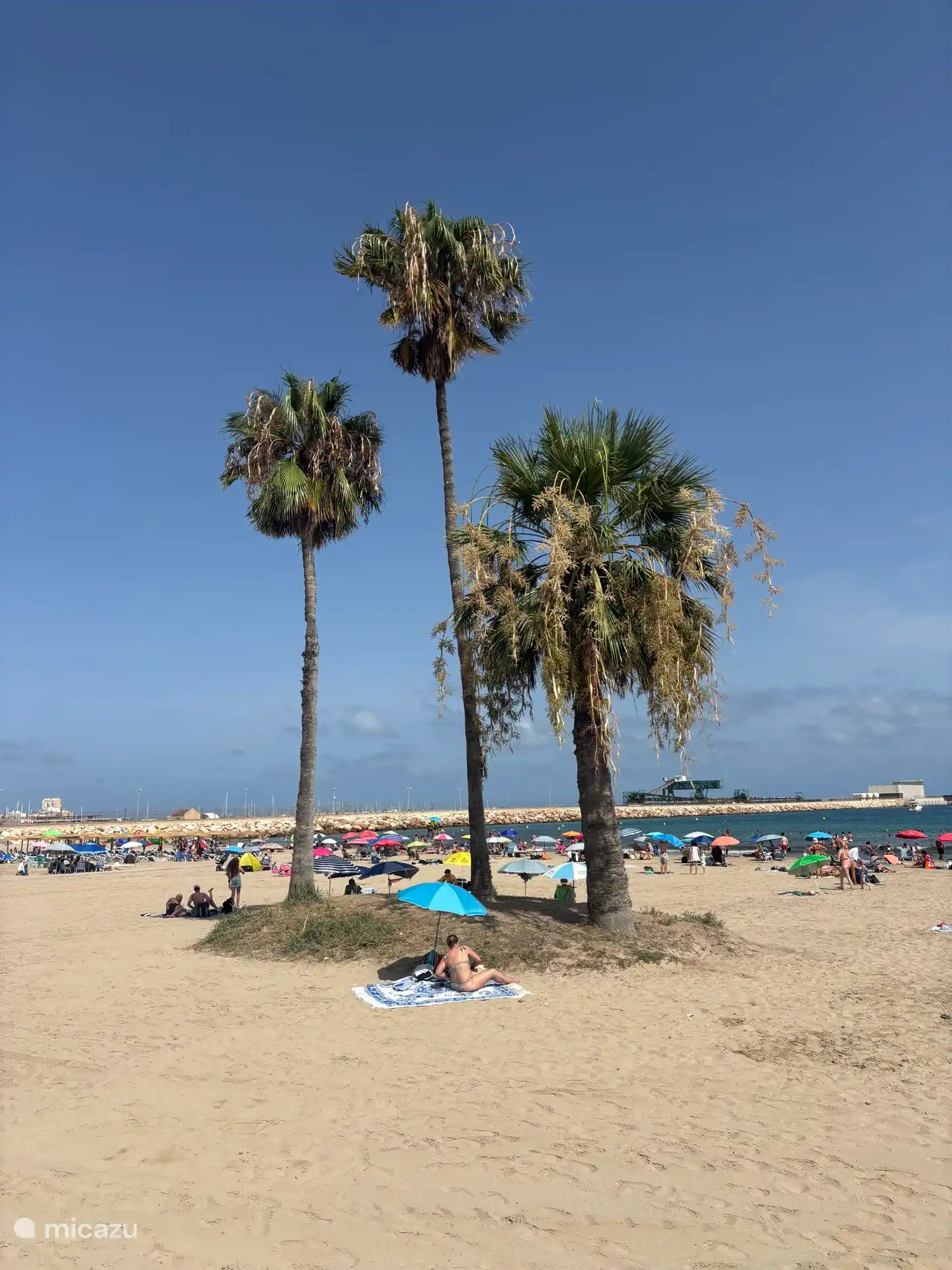 Der gemütliche Strand von los Naufragos direkt vor der Haustür.