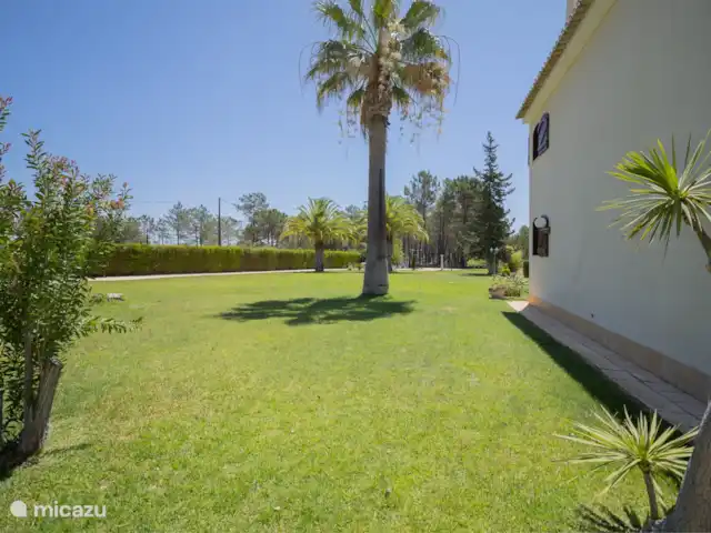 Petalas de Amor huren in Portugal, Algarve, Faro - villa Tuin