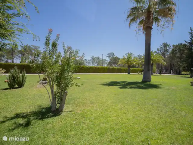 Petalas de Amor huren in Portugal, Algarve, Faro - villa Tuin