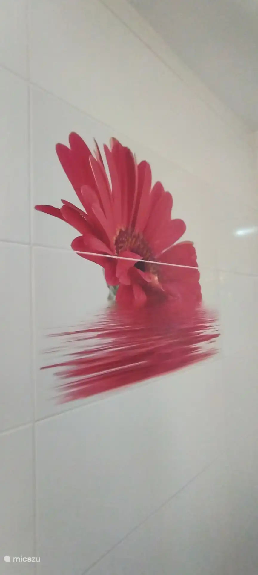 De badkamer is gedecoreerd met een mooie bloem, deze mooie rode bloemen zijn ook in de tuin terug te vinden. 