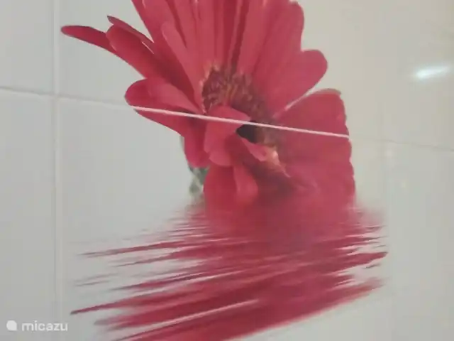 Appartement Balcon Al Mar Javea | Espagne, Costa Blanca, Jávea - appartement La salle de bain est décorée d’une belle fleur, ces belles fleurs rouges se trouvent également dans le jardin.