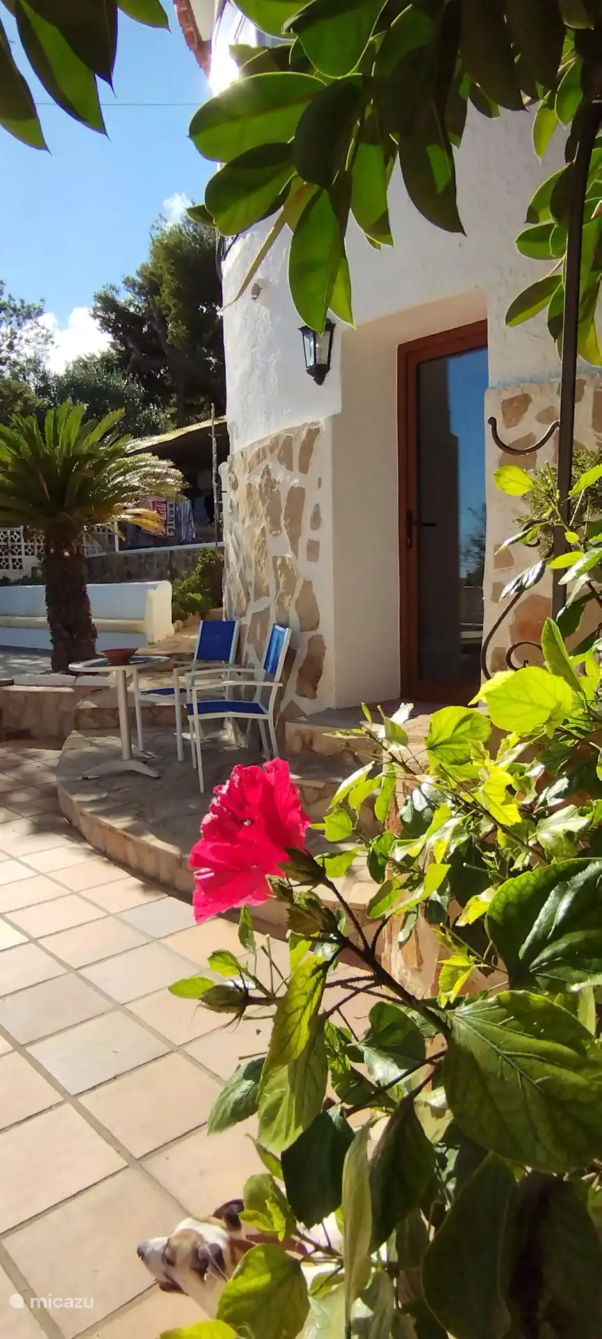 Naast de ingang van het appartement is een zitje geplaatst om lekker in het zonnetje te kunnen genieten van een ontbijtje of om te borrelen. 