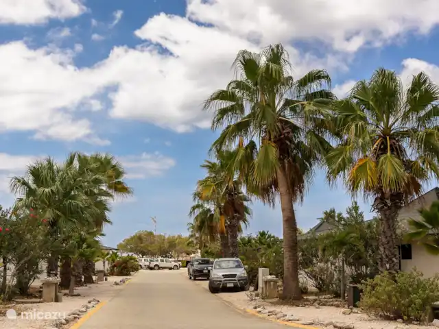 villa huren in Bonaire, Bonaire, Kralendijk – Blou Bonaire Waterlands Village De villa bevindt zich op een kleinschalig, omheind resort met prachtige tropische begroeiing.