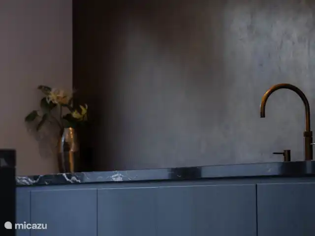 Luxury home Egmond en Países Bajos, Holanda del Norte, Egmond aan Zee - villa la cocina moderna