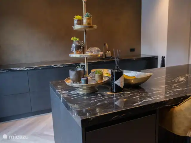 Luxury home Egmond en Países Bajos, Holanda del Norte, Egmond aan Zee - villa detalles de la cocina