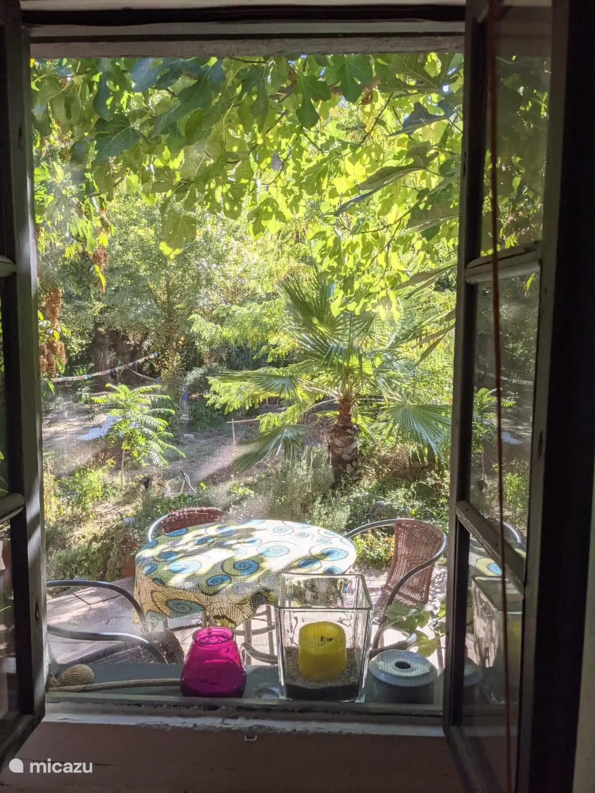 View from the house onto the terrace