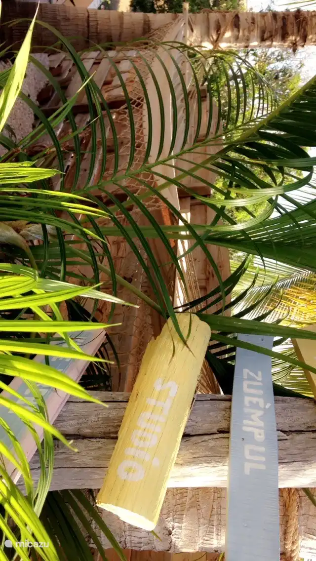 Mehrere Sonnenliegen im Garten. 