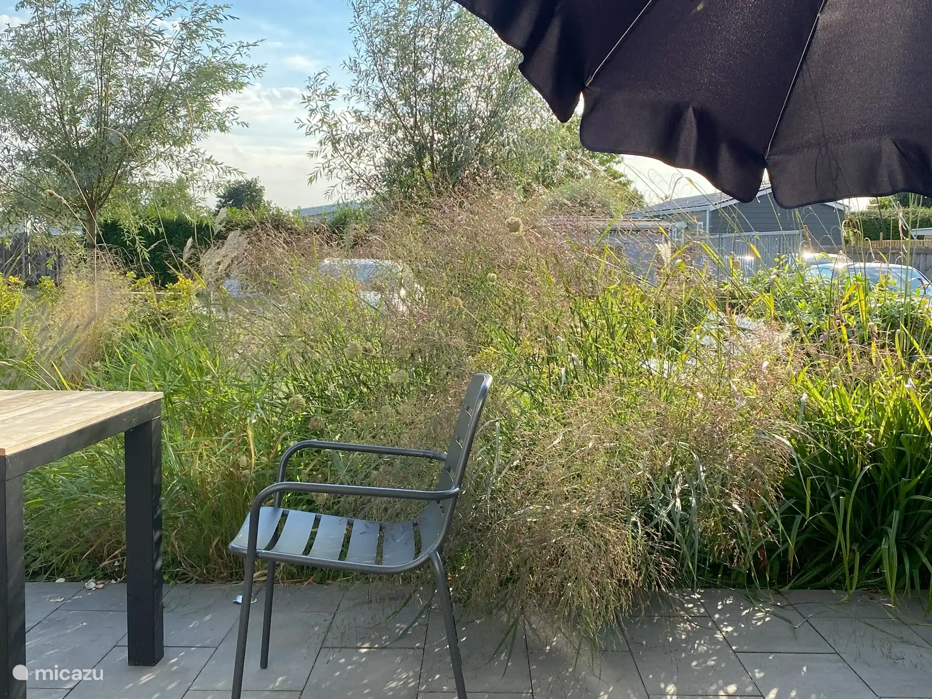 Geschützter, vollständig umzäunter Garten mit Gräsern auf der Sonnenseite.