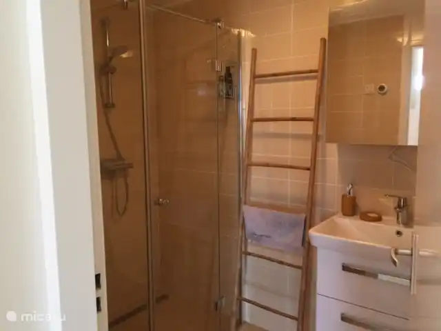 Badezimmer mit Dusche und WC.