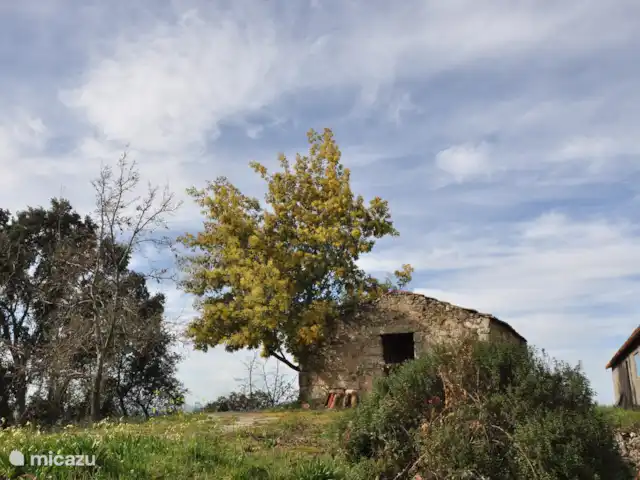 Casa Agave | Portugal, Coimbra, Oliveira do Hospital - maison de vacances Perspective