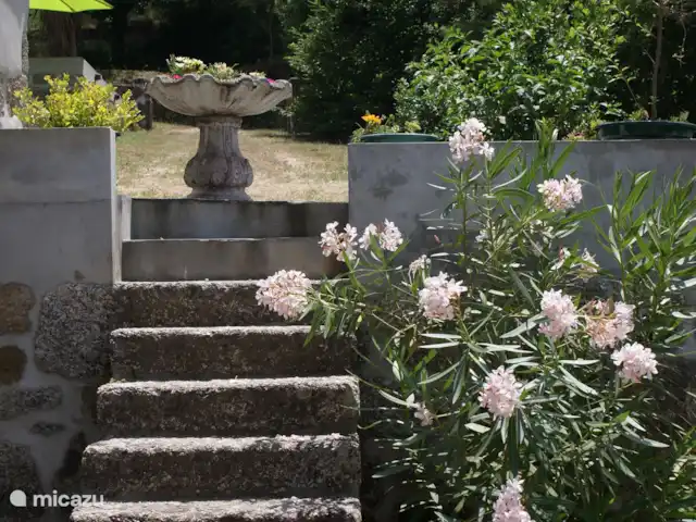 Casa Agave | Portugal, Coimbra, Oliveira do Hospital - maison de vacances Escalier extérieur