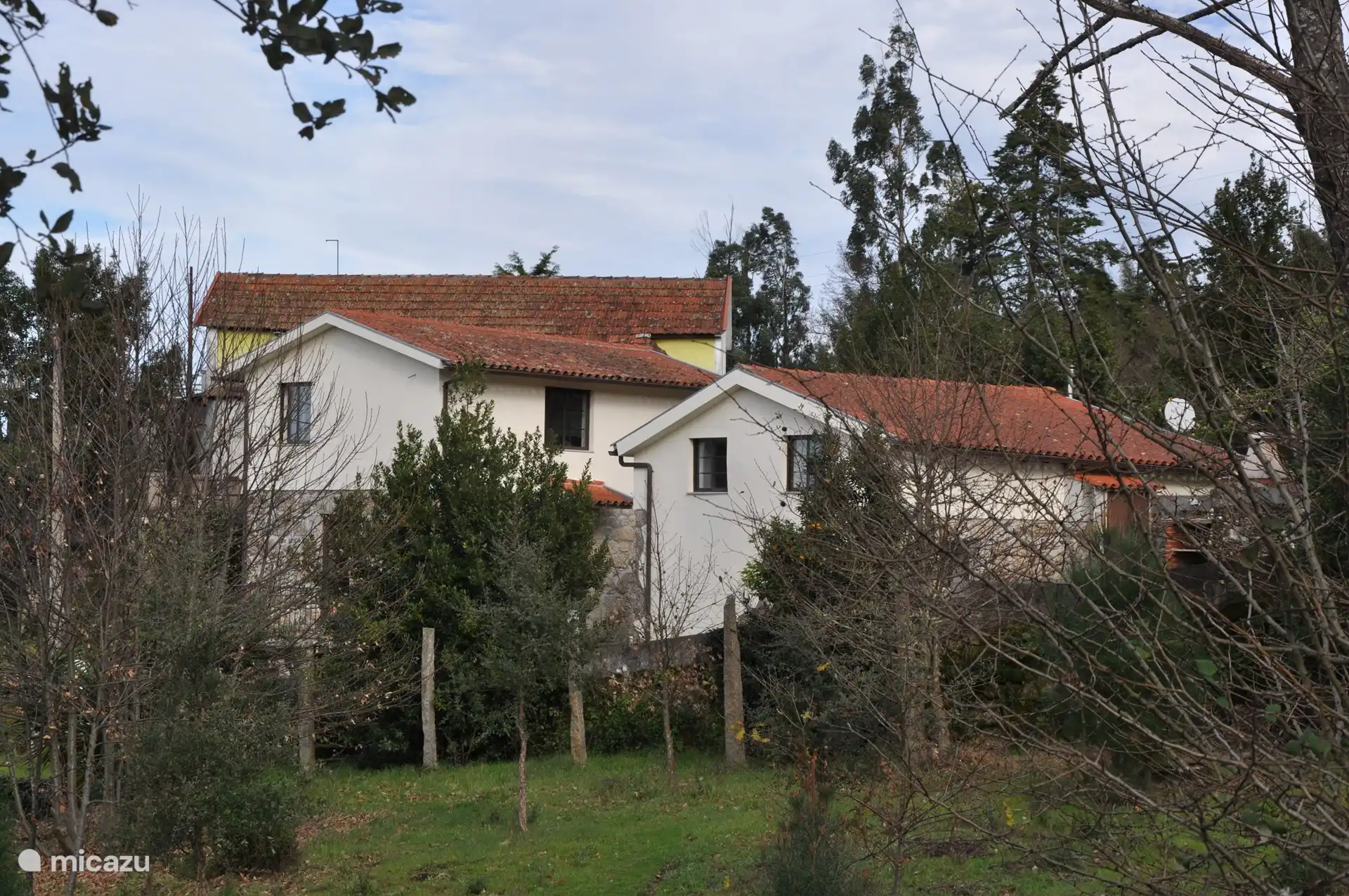 Casas Palmeira y Agave