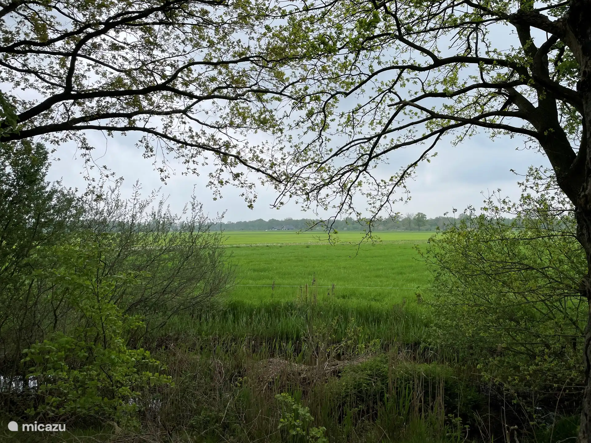 Une vue depuis l'un des magnifiques sentiers de randonnée autour de notre maison